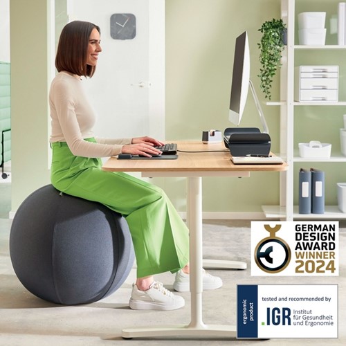 Ballon d'assise Leitz Ergo anti-basculement 75cm gris foncé-2