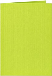 Correspondentiekaart Papicolor dubbel 105x148mm appelgroen pak à 6 stuks