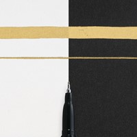 Feutre Sakura Pen Touch Extra Fin or-3