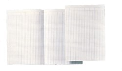 Papier comptable Djois Atlanta folio 14 colonnes 100 feuilles