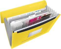 Trieur Esselte Vivida PP 6 compartiments jaune
