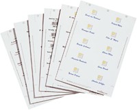 Bristol badge Durable 1455 imprimable 54x90mm 200 pièces
