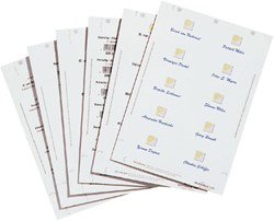 Bristol badge Durable 1455 imprimable 54x90mm 200 pièces