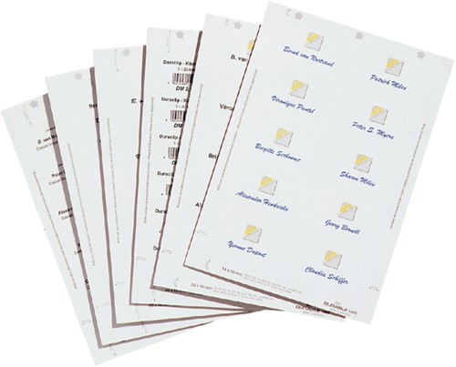 Bristol badge Durable 1455 imprimable 54x90mm 200 pièces