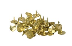 Punaises